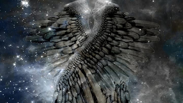 Peeking through the Feathers